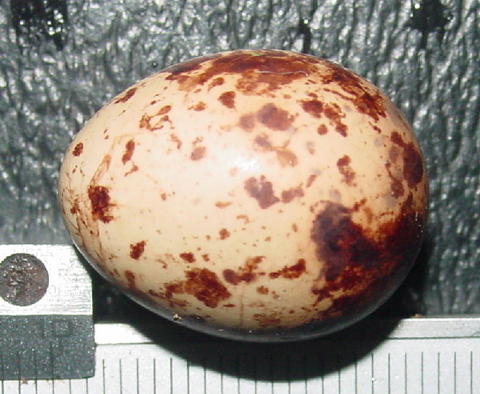 h02-14658.jpg