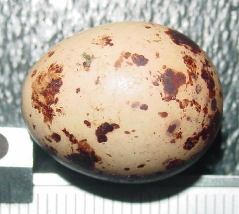h02-14664.jpg