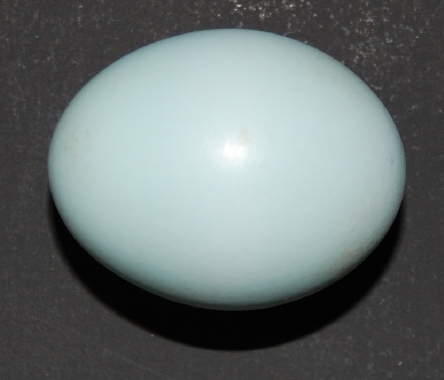 h10-437_2.jpg