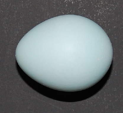 h10-440_2.jpg